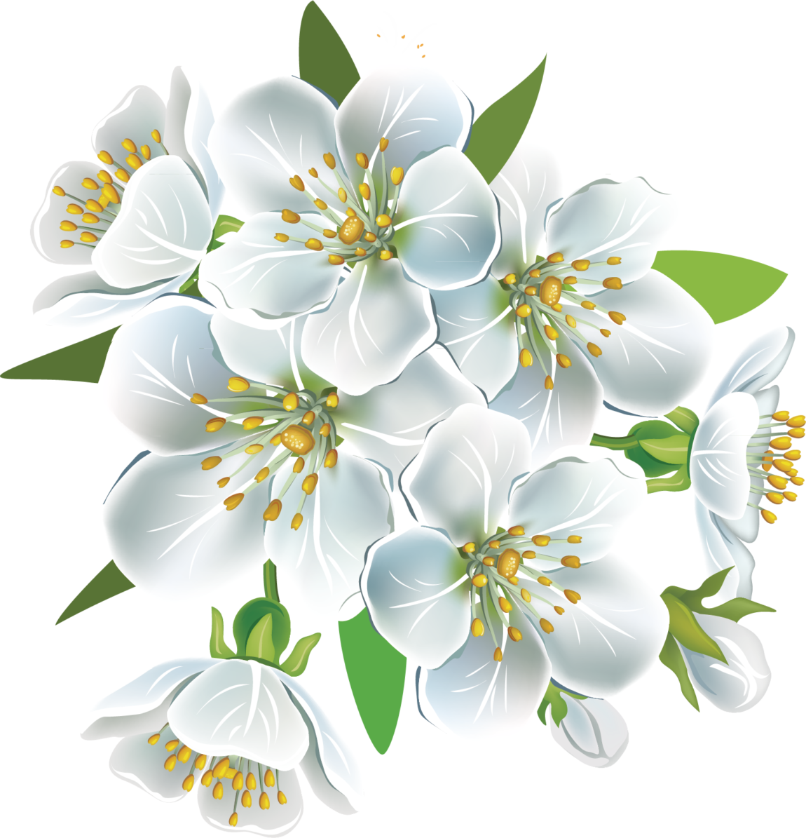 kisspng-national-cherry-blossom-festival-flower-petal-cherry-petals-5aa267d00f14c8.4781473615205928480618.png